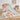 Ibena Pilze Kinderdecke